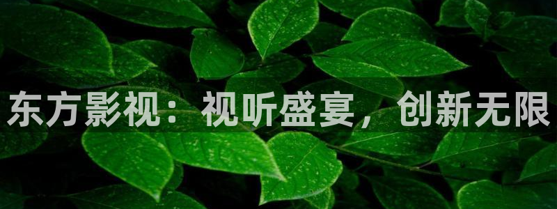 人人干人人视频