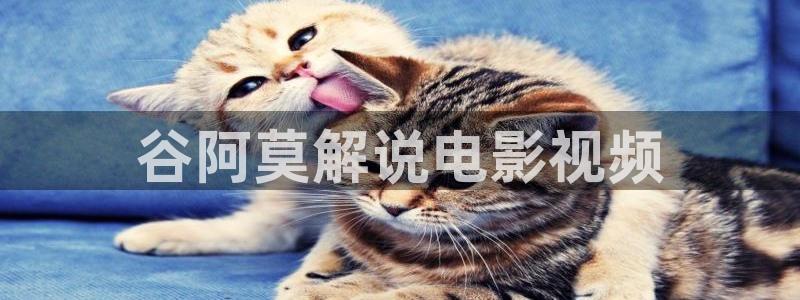 51人人影豆网理论片