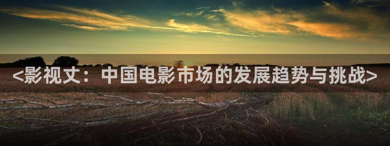 人人影视大全