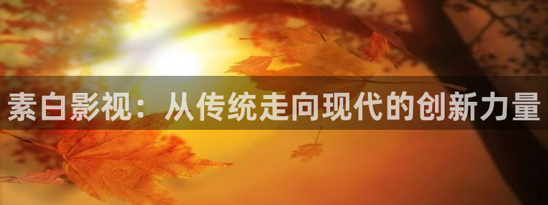 人人影院-最新电影-高清电视剧-免费：素白影视：从传统走向现代的创新力量