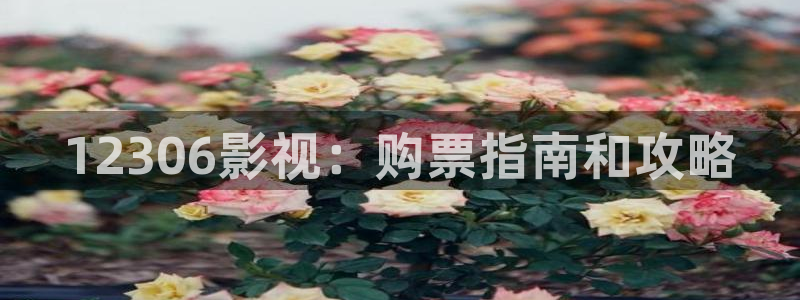 人人人人影院：12306影视：购票指南和攻略