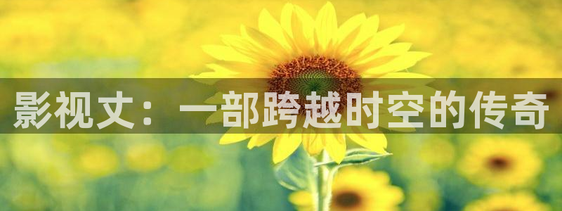 以爱为营人人影院：影视丈：一部跨越时空的传奇