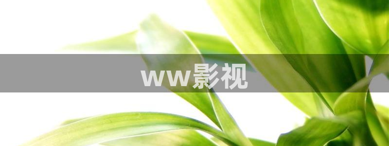 人人影音电脑版：ww影视