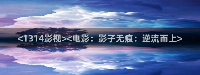 人人影剧院：<1314影视><电影：影子无痕：逆流而上>