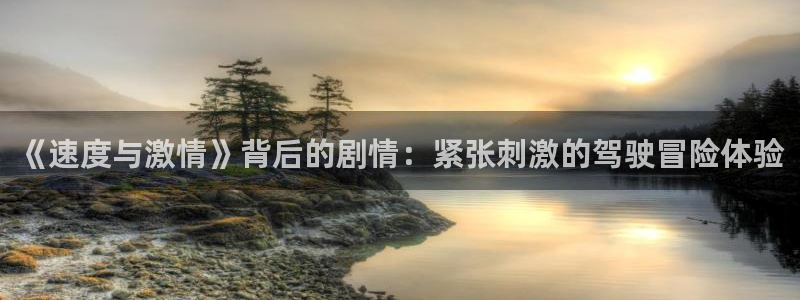 51人人影院：《速度与激情》背后的剧情：紧张刺激的驾驶冒险体验
