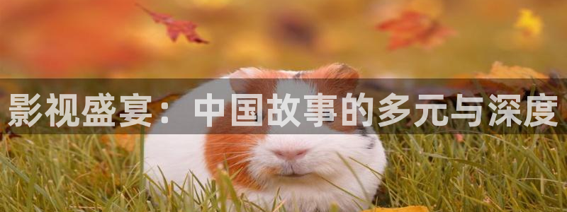 人人影院网址：影视盛宴：中国故事的多元与深度