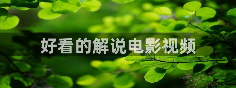 人人影院免费观看：好看的解说电影视频