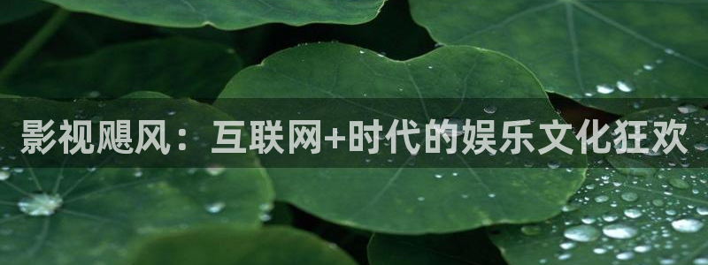 以爱为营人人影院：影视飓风：互联网+时代的娱乐文化狂欢
