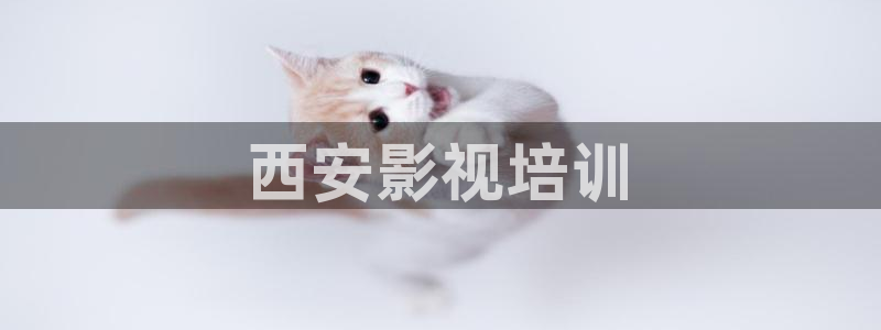 人人影音：西安影视培训