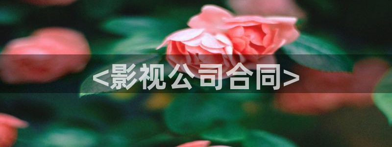 人人影院电影大全：<影视公司合同>