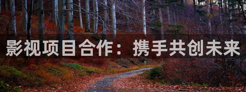 人人影院电影免费观看：影视项目合作：携手共创未来
