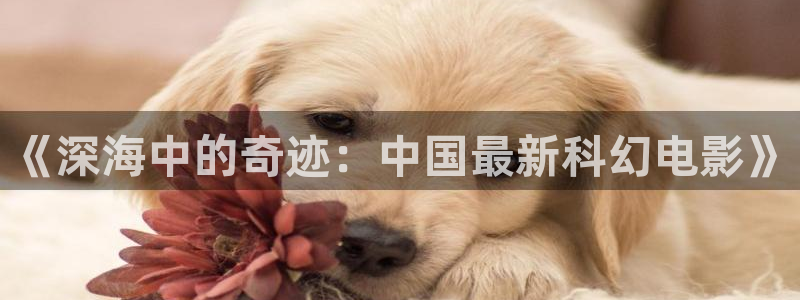 人人影视在线播放：《深海中的奇迹：中国最新科幻电影》