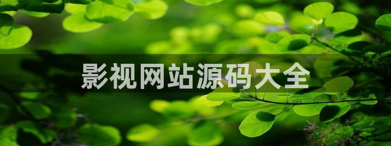 人人影视在线电视剧：影视网站源码大全