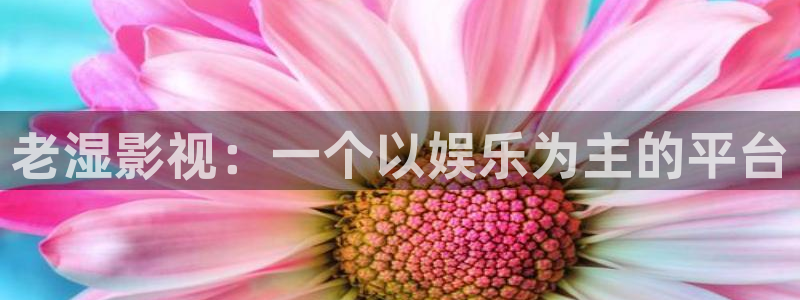 avtom影院永久地址人人影院：老湿影视：一个以娱乐为主的平台