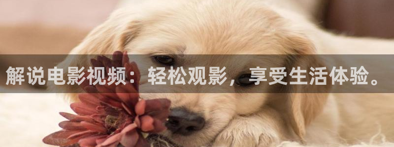 人人影院在线电视剧：解说电影视频：轻松观影，享受生活体验。