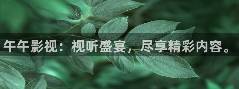 人人影视下载官方：午午影视：视听盛宴，尽享精彩内容。