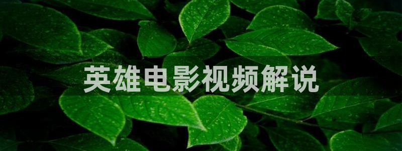 人人视频下载