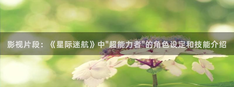 人人影视在线电视剧