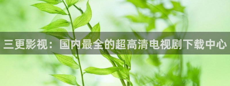 人人影音