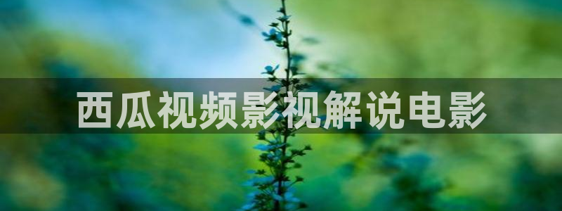 人人视频网站