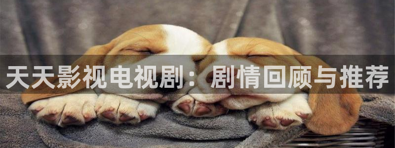 亚洲人人影院