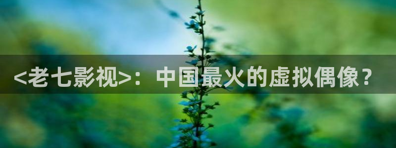 人人视频网站