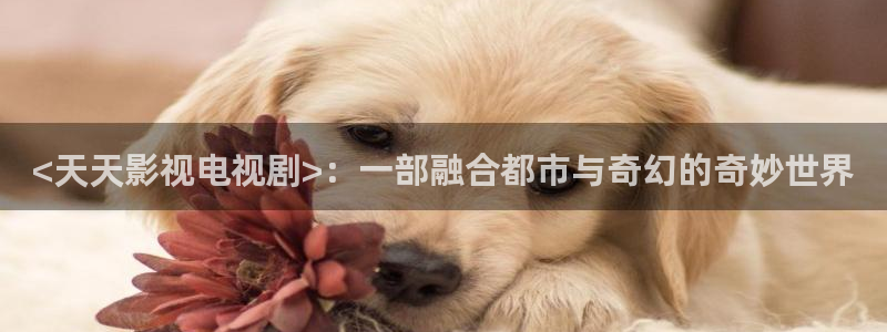 人人影院网